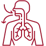Anatomy